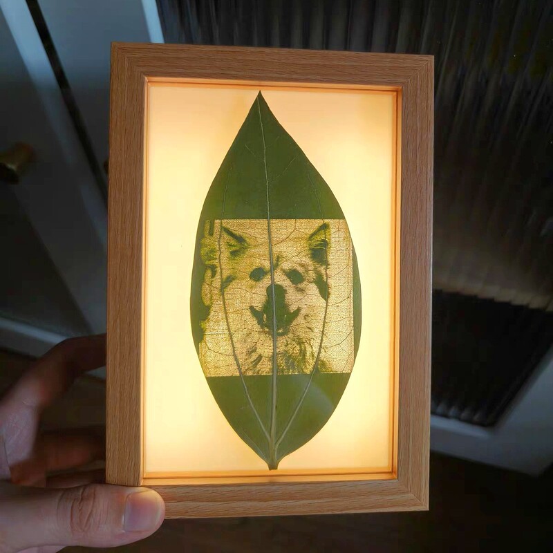 Leaf-carved photo frame, light-up picture frame, hollow creative luminous night light, tabletop gift, wholesale from manufacturer Leaf-carved photo frame, light-up picture frame, hollow creative luminous night light, tabletop gift, wholesale from manufacturer