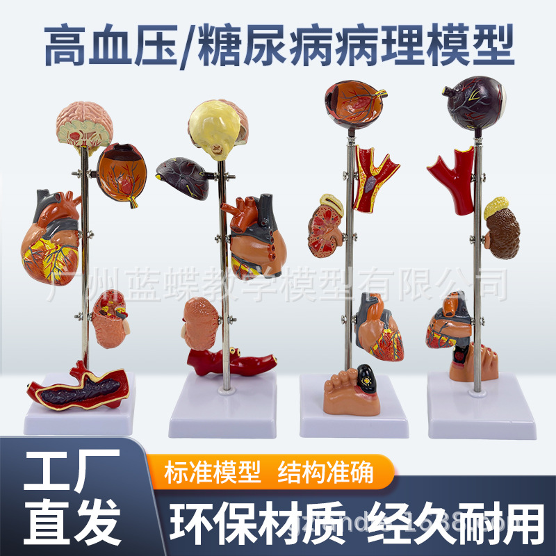 ҽѧ����ģ������ģ������ģ����ģ������������bingģ��