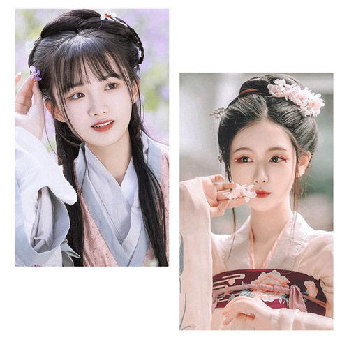 Hairpin braid pack, Hanfu hairpin holder, Xiaohuo hairpin, ancient costume wigs, 8-character braided hairpin pack