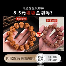 ���l�������y����������������ִ����������ʿԭ�ѱP��������