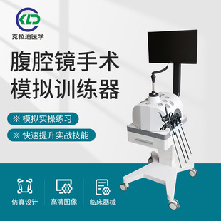 Human Abdominal Surgery Simulation Training Box 30 Degree Endoscopic Surgery Internal Surgery Practice Training Equipment Order