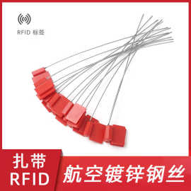 货柜封签锁扣集装箱铅封扎带rfid标签RFID芯片ic卡无源卡高频