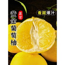 ��֭������9���������r��������ƽ��ˮ�������ĵ�������