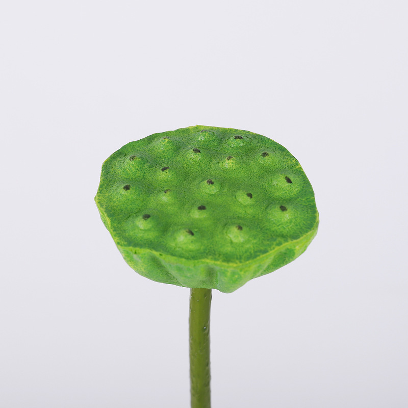 연꽃 (녹색) 스몰 사이즈