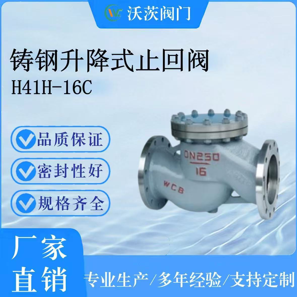 长期供应天津塘沽沃茨阀门 H41H-16C DN250 铸钢止回阀源头厂家