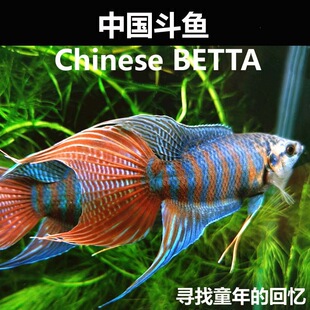 ���a���~�ͻ��^�p�~�ղ�W���~��ˮ�~���w�Ї����~���_���ֽ��~