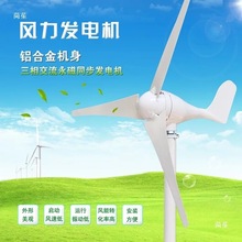 家用小型风力发电机大功率1000W风光互补系统小形路灯船用220v24v