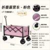 Removable fuchsia storage system for camping