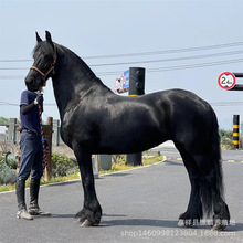 �R�x���ﰫ�_�R����С���R �T���R�ɹ� �����B���R�T���R�Ј�����