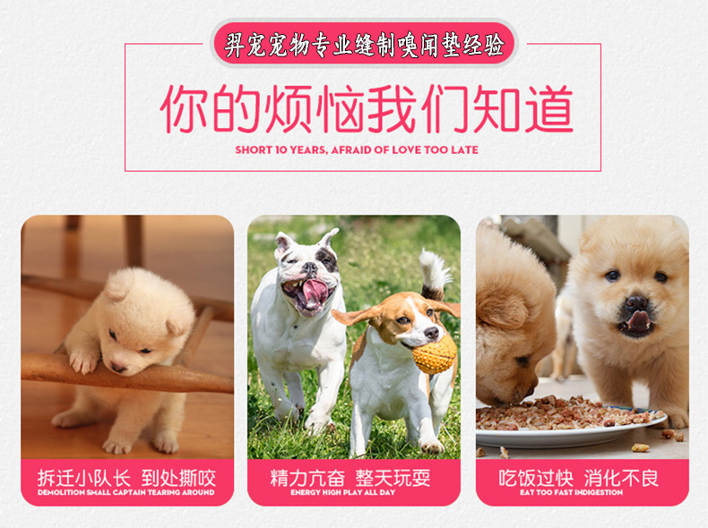 宠物互动玩具.jpg