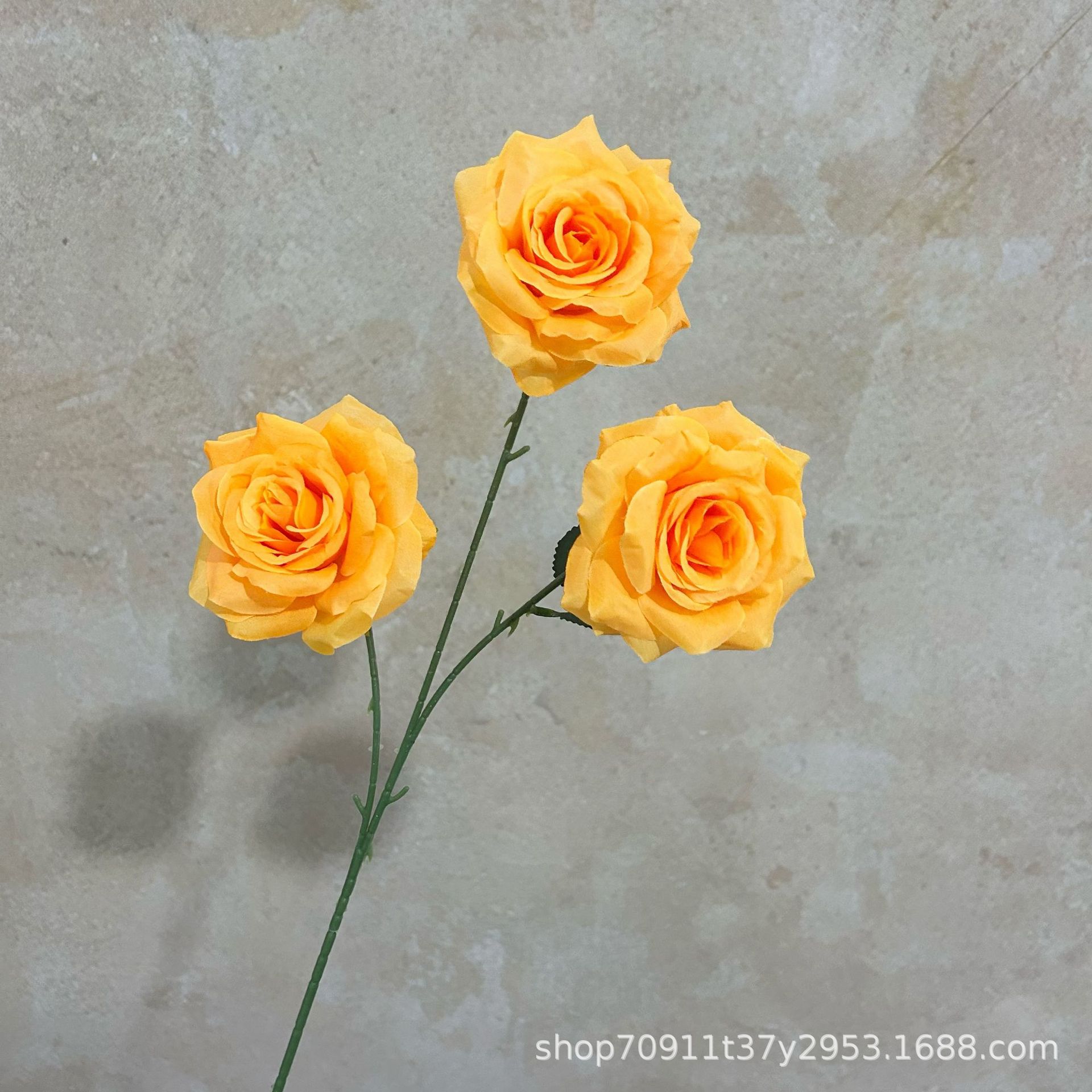 잎이 있는 오렌지