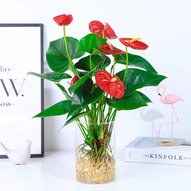 678413400696s0483eefa-235b-411