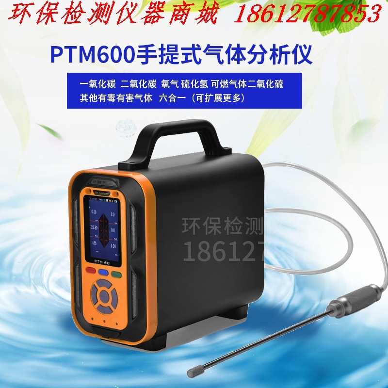 SY-PTM600-6气体分析仪 电力系统气体检测仪 按气体选型量程定制