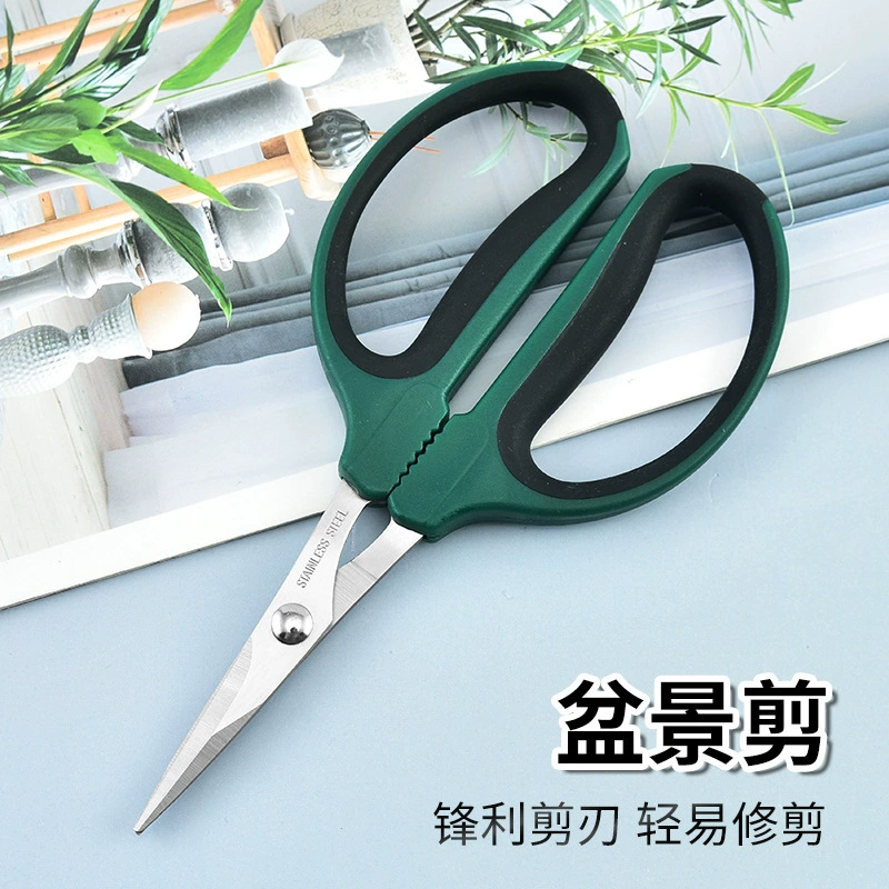 Завод в наличии цветочные ножницы ветка ножницы завод цветы сад цветочный магазин ножницы бонсай