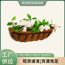 ���@�����̨�Fˇ�Ӻ�Ҭ�µ�������ֲ��G�}�Ғ����N�˷N����