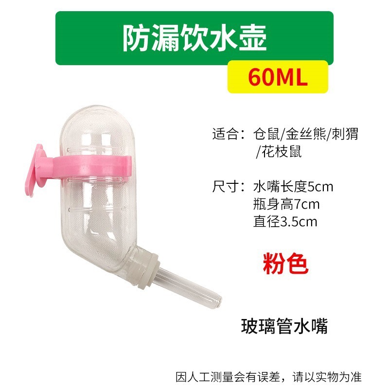 Hámster de conejillo de indias bebiendo agua de oso de oro