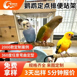 定制鹦鹉定点排便站架坚固耐磨花椒木站杆可弯曲不易断多功能站架