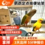 坚固耐磨定点定制杆