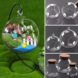 玻璃工艺品;水培植物瓶;微景观瓶