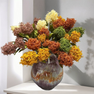 ����3��������Ҿ����컨���߲����҃��b�c���н��������