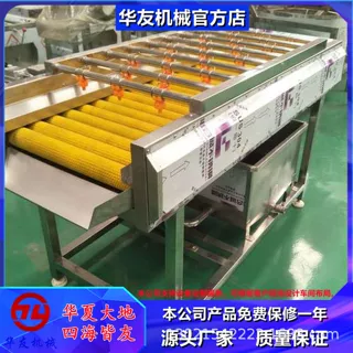 定制不锈钢生姜去皮清洗机器黄姜毛刷去泥沙清洗流水线现货