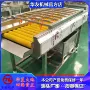 定制去皮不锈钢泥沙机器