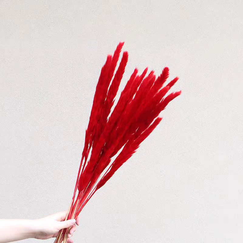 Flores de inmortalidad rojas decoración de boda flores secas de Año Nuevo para dar la bienvenida a los huéspedes frijoles de dragón grasa colgando arroz al por mayor