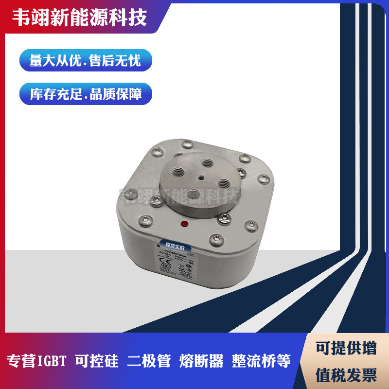 巴斯曼全新进口现货熔断器170M7083 170M7084 170M7085 170M7086