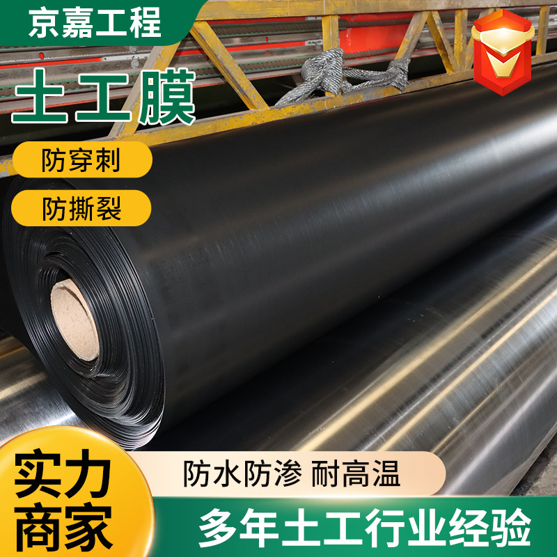 鱼塘防渗透黑色土工膜黑绿双色聚乙烯土工膜新材料HDPE土工膜