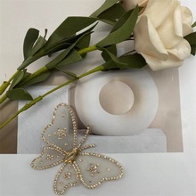 �¿�ߙn�C荲�ˇ�W�����w��������ЬЬ��Ь������l�A�l��o��