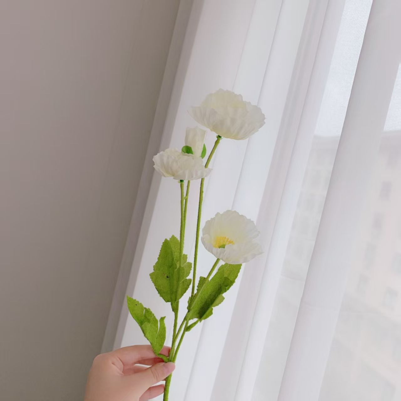 하얀색
