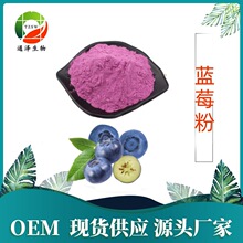 蓝莓粉  喷雾干燥包邮发99%规格现货供应果蔬粉量大从优 蓝莓果粉