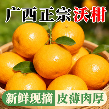 ���ڏV�����Q�ָ��r���֭���rˮ����Ƥ���a�جFժһ�����l���]