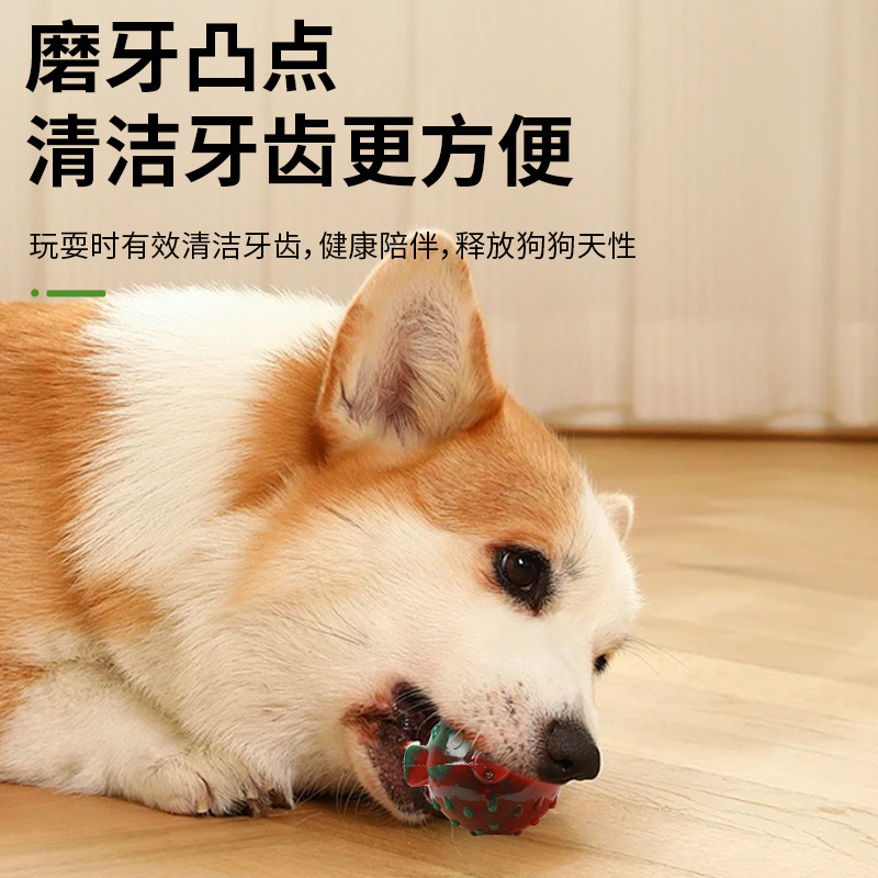 圣诞新款狗狗玩具自嗨耐咬磨牙宠物发声玩具用品圣诞礼品跨境爆款|undefined