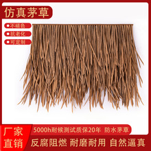 ���Sֱ�NPA������Ʒ����é��������é������b���Ƭ��ˮ�������