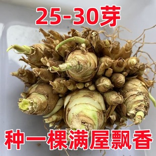 ������N��������ذ������������������л�ͥԺ�̨��������