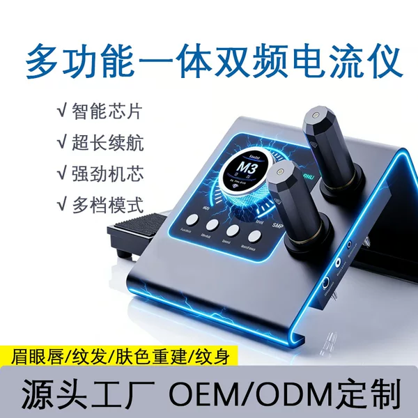 Dual-Needle Panel Current Meter Tattoo Machine European Lip Line Eyebrow Tattoo Dual-Frequency Current Meter All-In-One Machine Oem Customization