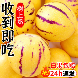 ���u���ʯ���˅���10���r������ˮ���߲��������Ľ��˅��S������