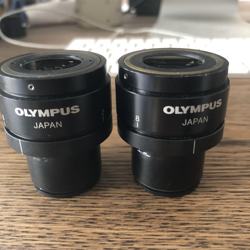 OLYMPUS奥林巴斯MM6-OC10X/22显微镜用10倍目镜