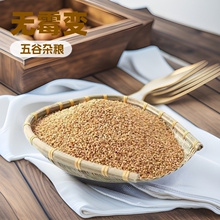 新货新小麦小麦粒散装带皮小麦磨面粉酿酒料饲料用可发芽一件代发