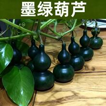 ��Ʒ������J�N�����ī�G������Сƽ�׷���ī�G���J�N����Ƥ���r