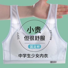 少女の下着の発育期の中学校の高校の学生の思春期の女子学生の運動の防震の女の子のブラジャーの薄いタイプのベスト