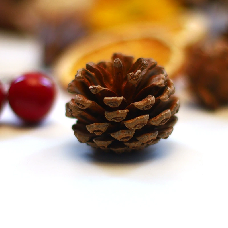 Decorations, pendant handmade, photo shoot props, DIY
