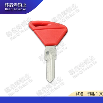 with a Chip, Modified – Motorcycle Key