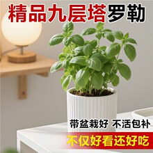 ���~�_�շN�����Կ�ʳ���߲���ݷN���ѷN��ȫ���_�ձ����ļ��N��