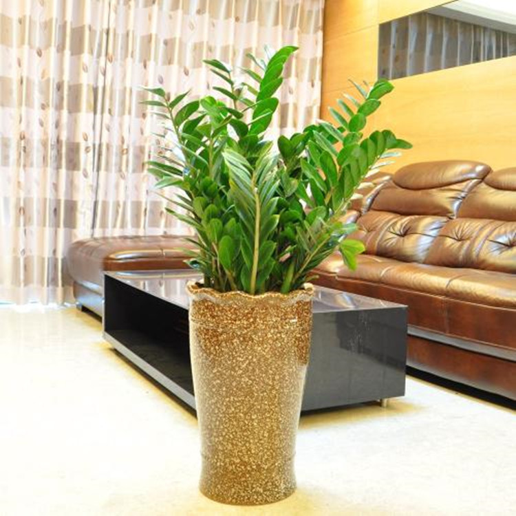 Money Tree Potted Plant, Big Money Tree Green Plant, Small Money Tree, Living Room Office Flower Bonsai Money String