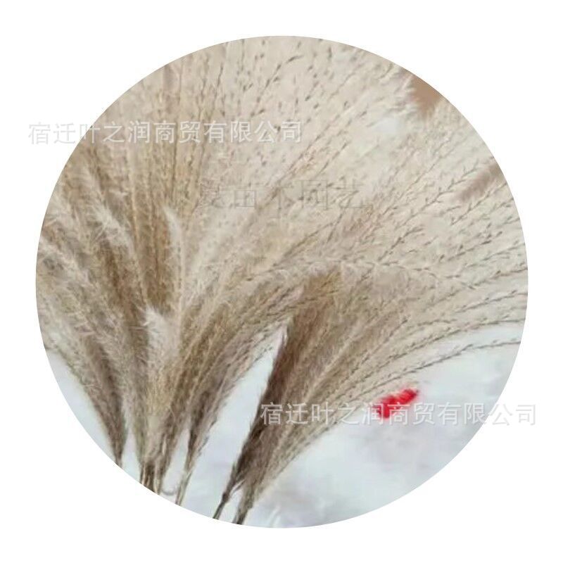 71HQRQ4PR`BBRNYM3W1[GG6