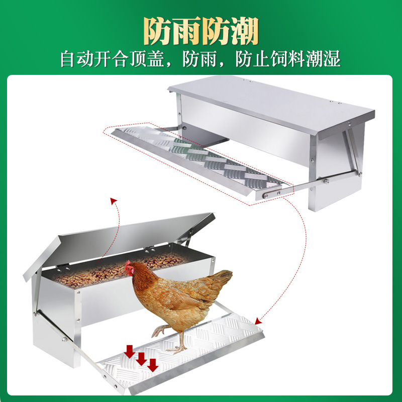 Comedero para pollos con pedal, comedero automático rectangular para pollos, comedero suplementario para pollos, patos y gansos, comedero automático para pollos.