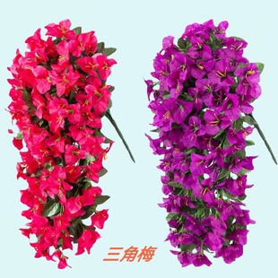 ��������÷�ڒ컨�������滨�ٗl�b��쾰�@�־G���ҾӾƵ����⻨