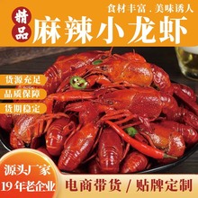 麻辣小龙虾加热即食海鲜小龙虾龙虾尾冷冻外卖团购电商批发商用